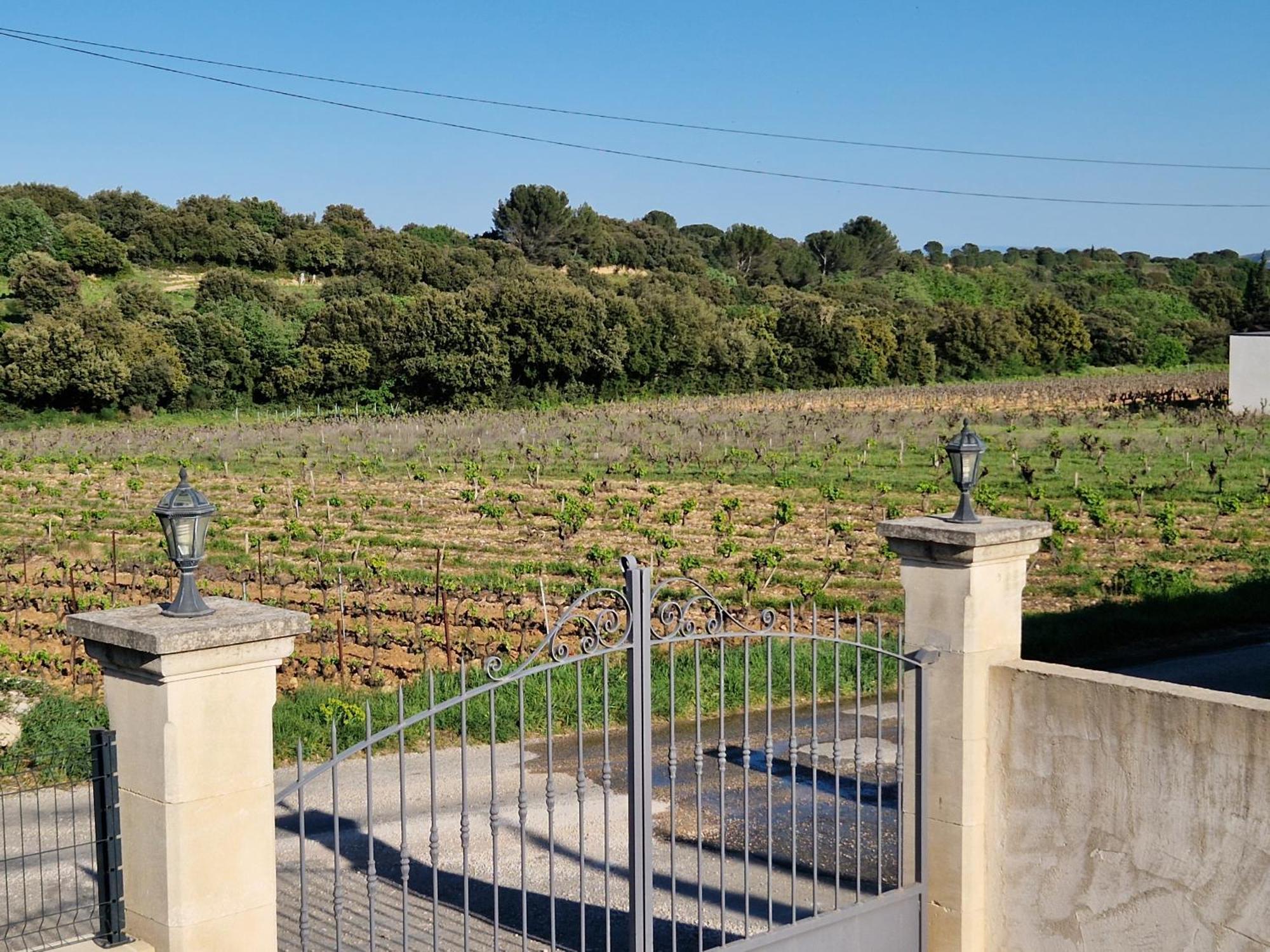 Le Cabanon De Lea Διαμέρισμα Tavel Εξωτερικό φωτογραφία